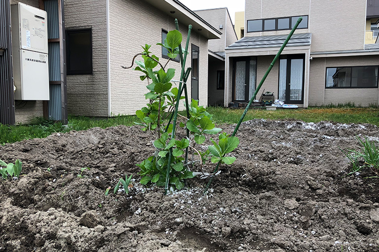 陽だまり苑　グループホーム　中庭